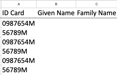 Import Payslip Details MT.png